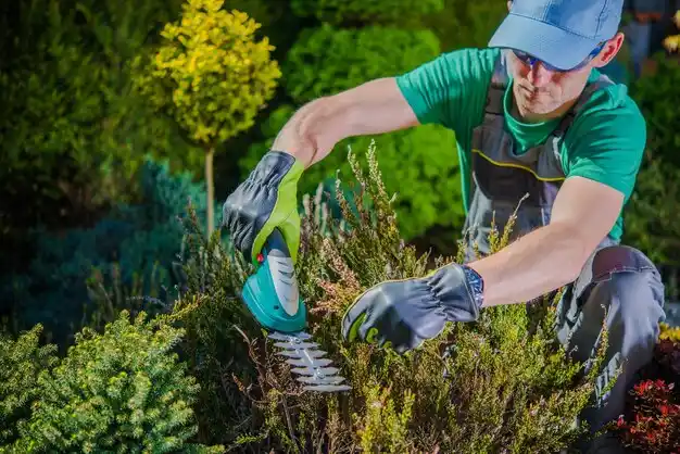 landscaping services Eaton
